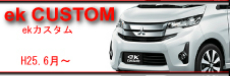 ek@custom@H25.6`