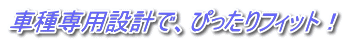 Ԏp݌vŁA҂tBbgI